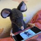 梁梁腔（水母版）-秀琴曲谱网