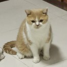 個人頭像
