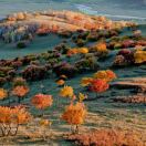 阿不都的头像-OWQE