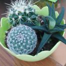 跟往事干杯的个人空间