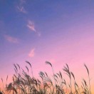 用户47406428的头像-博士钣金 - www.bsbanjin.com