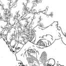 风月本是故人心