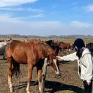 Profile picture of 576451649