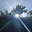 熊云富的头像-秀琴曲谱网