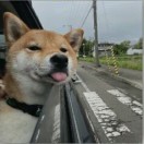 wx_摆烂修勾49