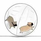 NPC今天好好学习了吗