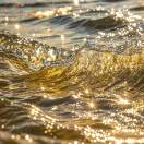 u客直谈实名认证莉莉