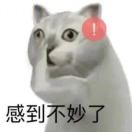 醬油煮茶