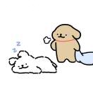  -CH的头像-风行者社区