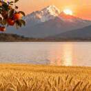 用户16409764的头像-创薯资源