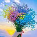 向阳花