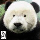 lalala的头像-风行者社区