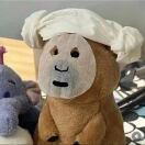 Momentum的头像-熵减岛