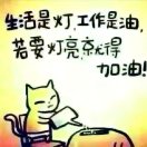 臧师傅