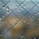 terryldg-日本！日本语