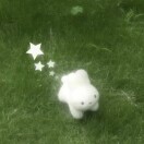 用户头标