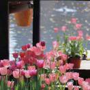 田甜的个人空间