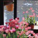 起风了的演奏视频