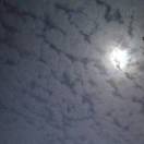 用户12609912的头像-博士钣金 - www.bsbanjin.com