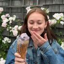 Kingfisher halls转租&房东直租