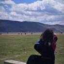 star的头像-熵减岛