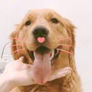 合肥现场一张啸天