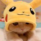 alancheng's Avatar