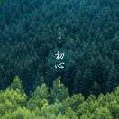 凉凉