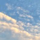 住在深山野林的쇼완즈