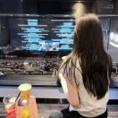 Great Court转租&房东直租