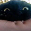 withyou的头像-博士钣金 - www.bsbanjin.com