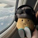 VITA转租&房东直租