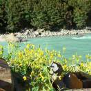 大华监控国林小周