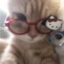 花有重开日，人无再少年