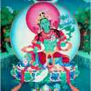 གངས་དཀར་བུ་མོ།