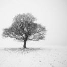 WayneJoon.H的头像-棉花糖会员站