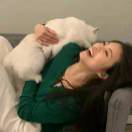 萬事胜意（软件开发）