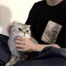 程实
