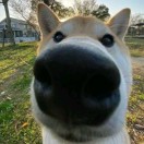 用户62715369的头像-Studio Mars.AI