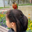 萌妈