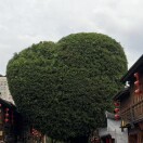 吃得多，特别多
