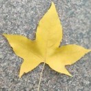 朋友圈.抖音.小红书.百度