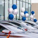 woshizjingb的头像-日本！日本语