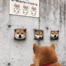 赖先生的头像