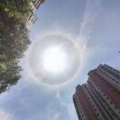 刘丽洁