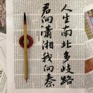 林深现鹿