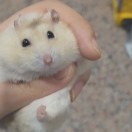 user_pfdkoohzzfcv2v2h member profile picture