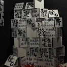 月下遛鸟