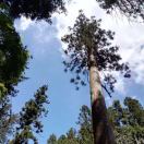 (*^^)v的头像-博士钣金 - www.bsbanjin.com