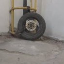 陈文东